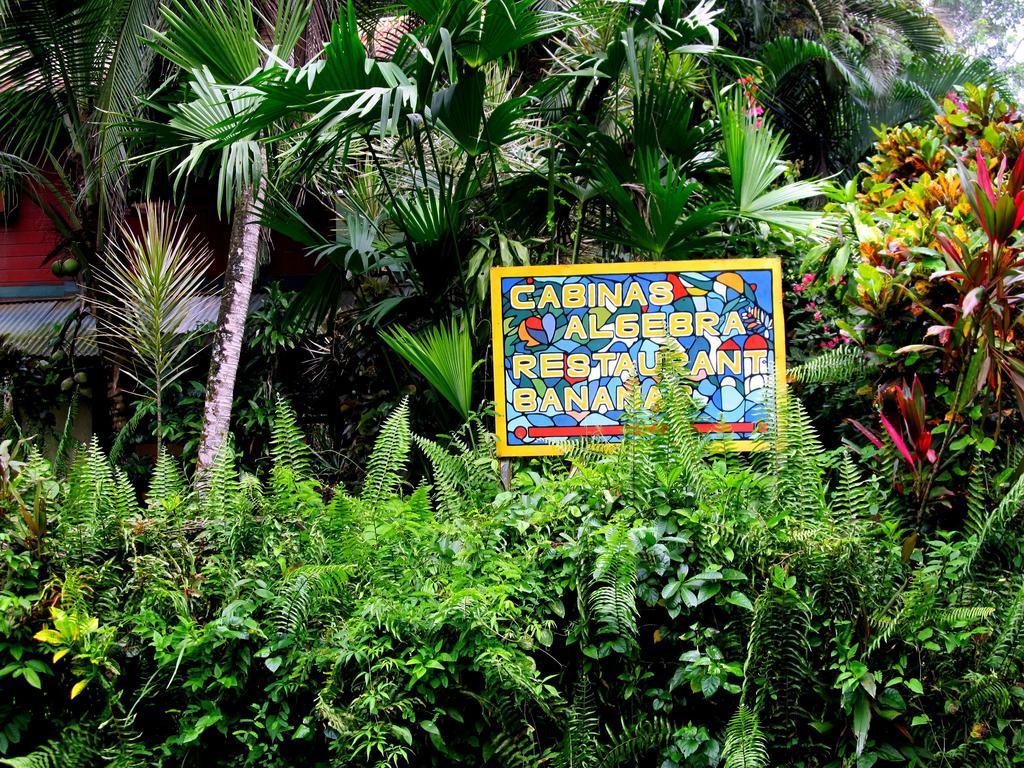 Cabinas Algebra Cahuita Exterior photo