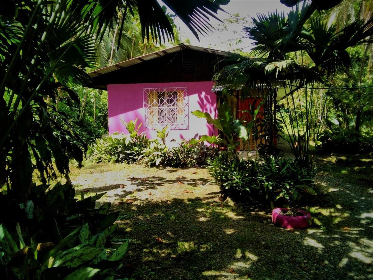 Cabinas Algebra Cahuita Exterior photo