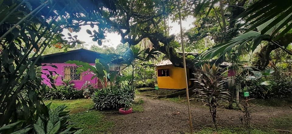 Cabinas Algebra Cahuita Exterior photo